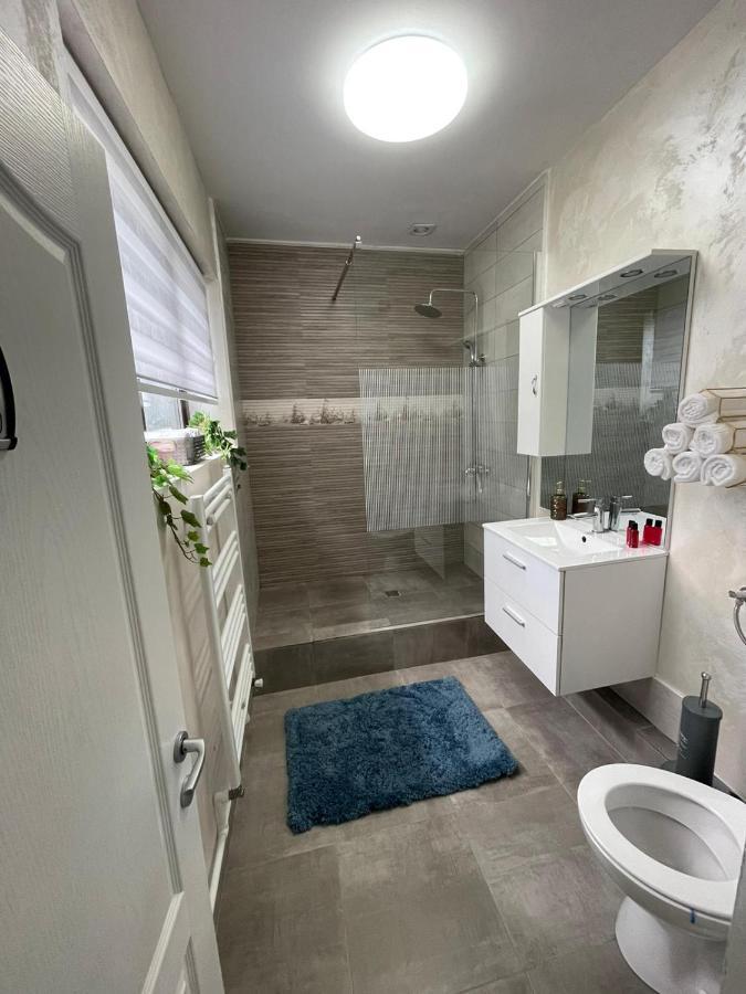 Casa Di David Villa Bodzavásár Kültér fotó